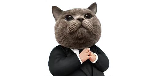 猫兽先生|Mr.Cat